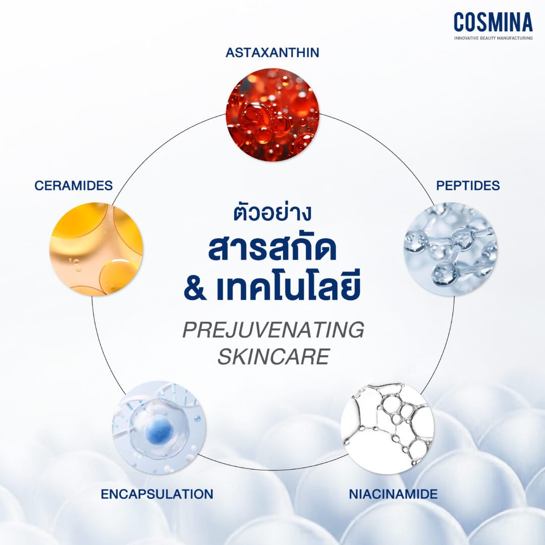 ตัวอย่างสกัด