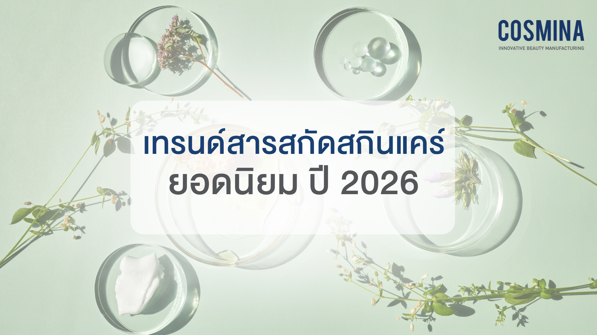 สารสกัดสกินแคร์