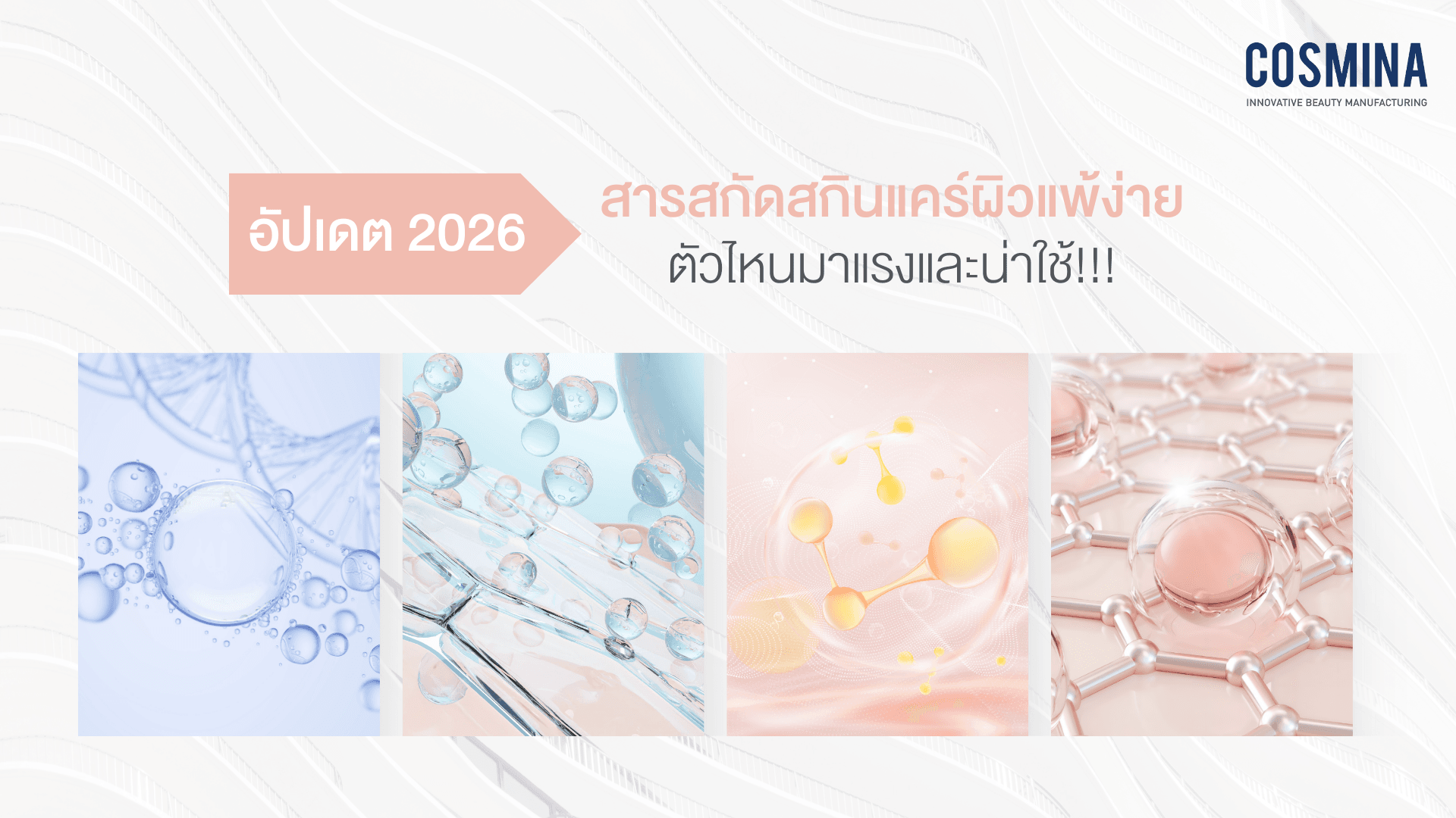 สารสกัดสกินแคร์ผิวแพ้ง่าย