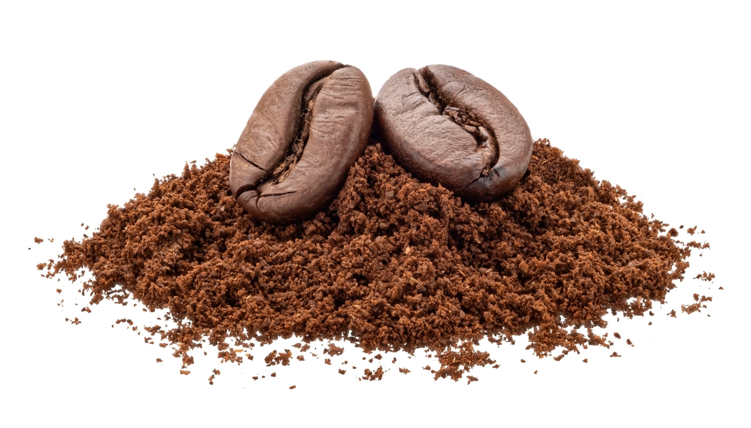 Caffeine & Carnitine