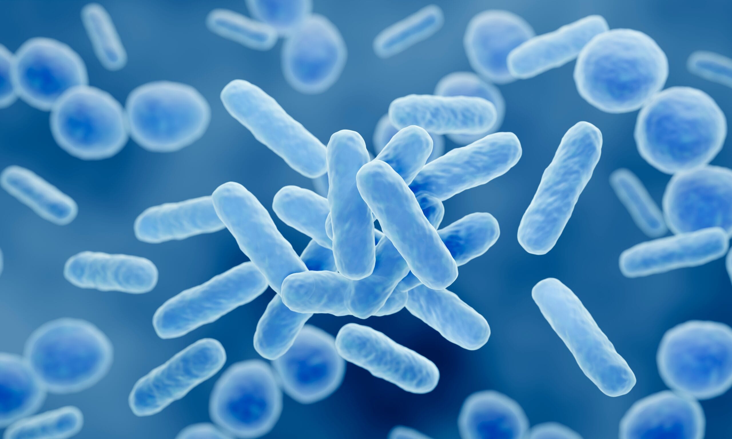 Maltodextrin & Lactobacillus Ferment (Postbiotic)