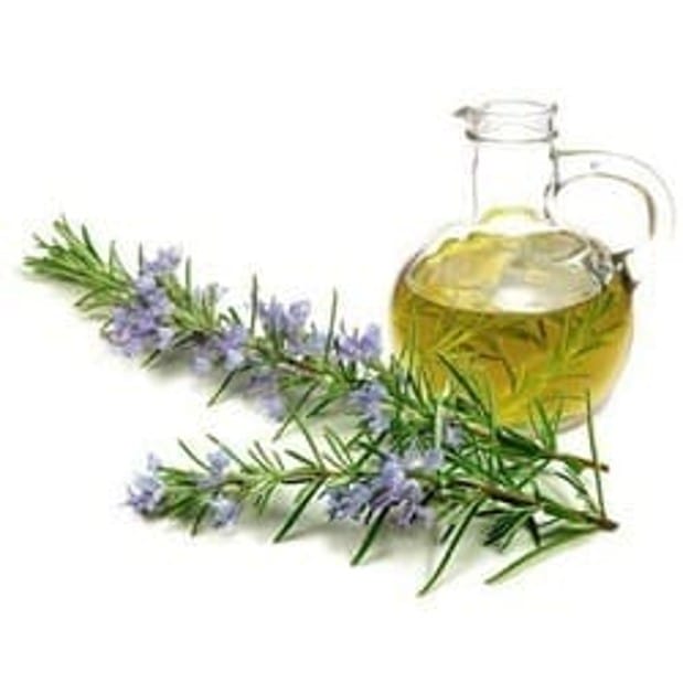 Rosemary Extract