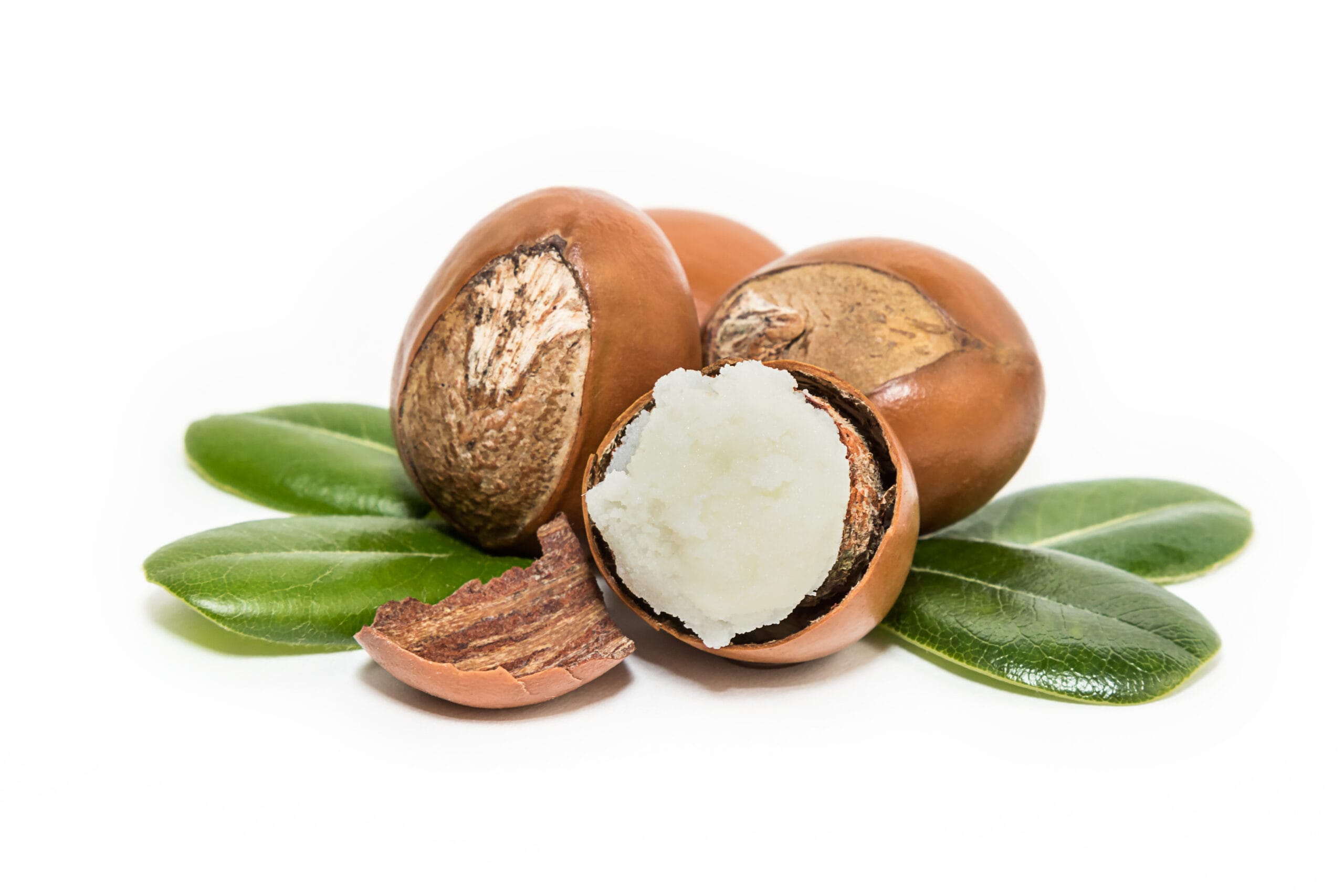 Shea Butter