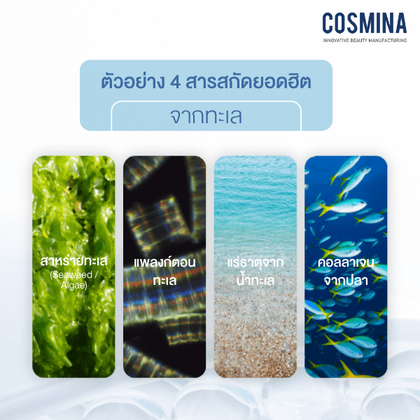 ตัวอย่าง 4 สารสกัดยอดฮิตจากทะเล