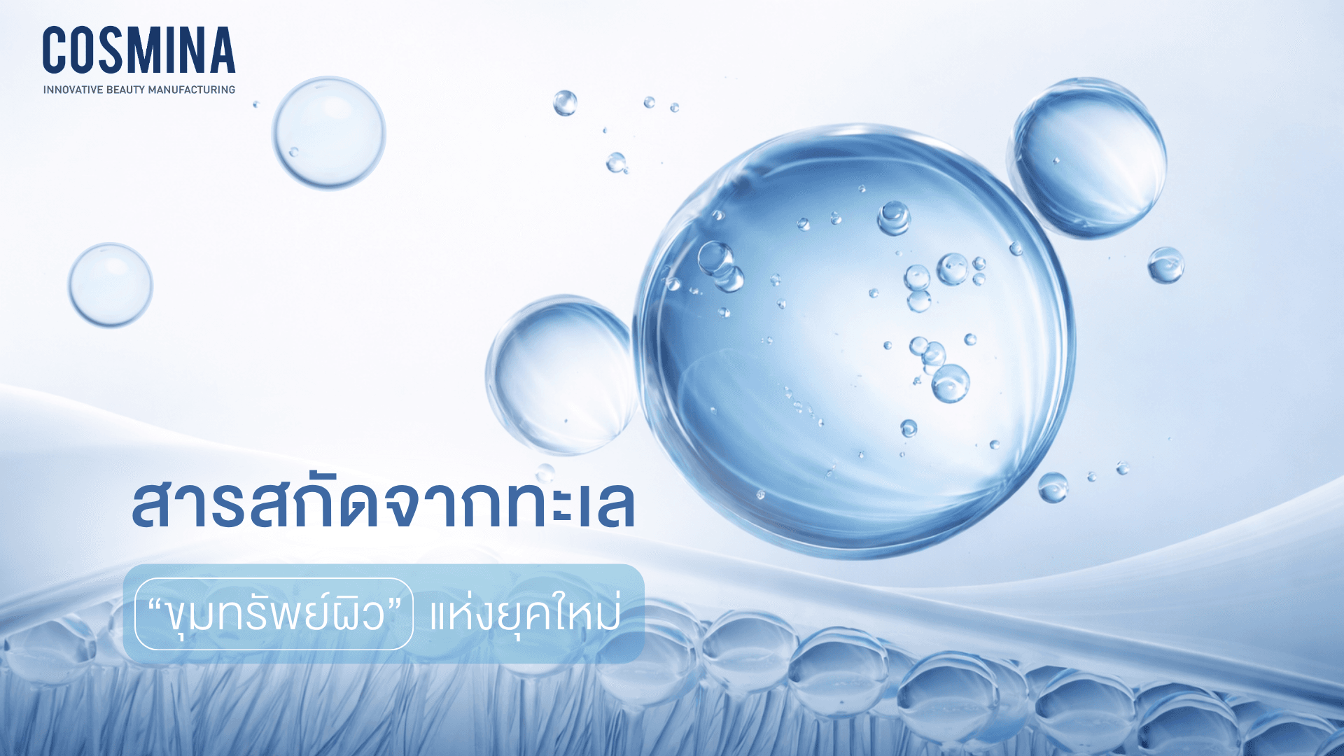 สารสกัดจากทะเล