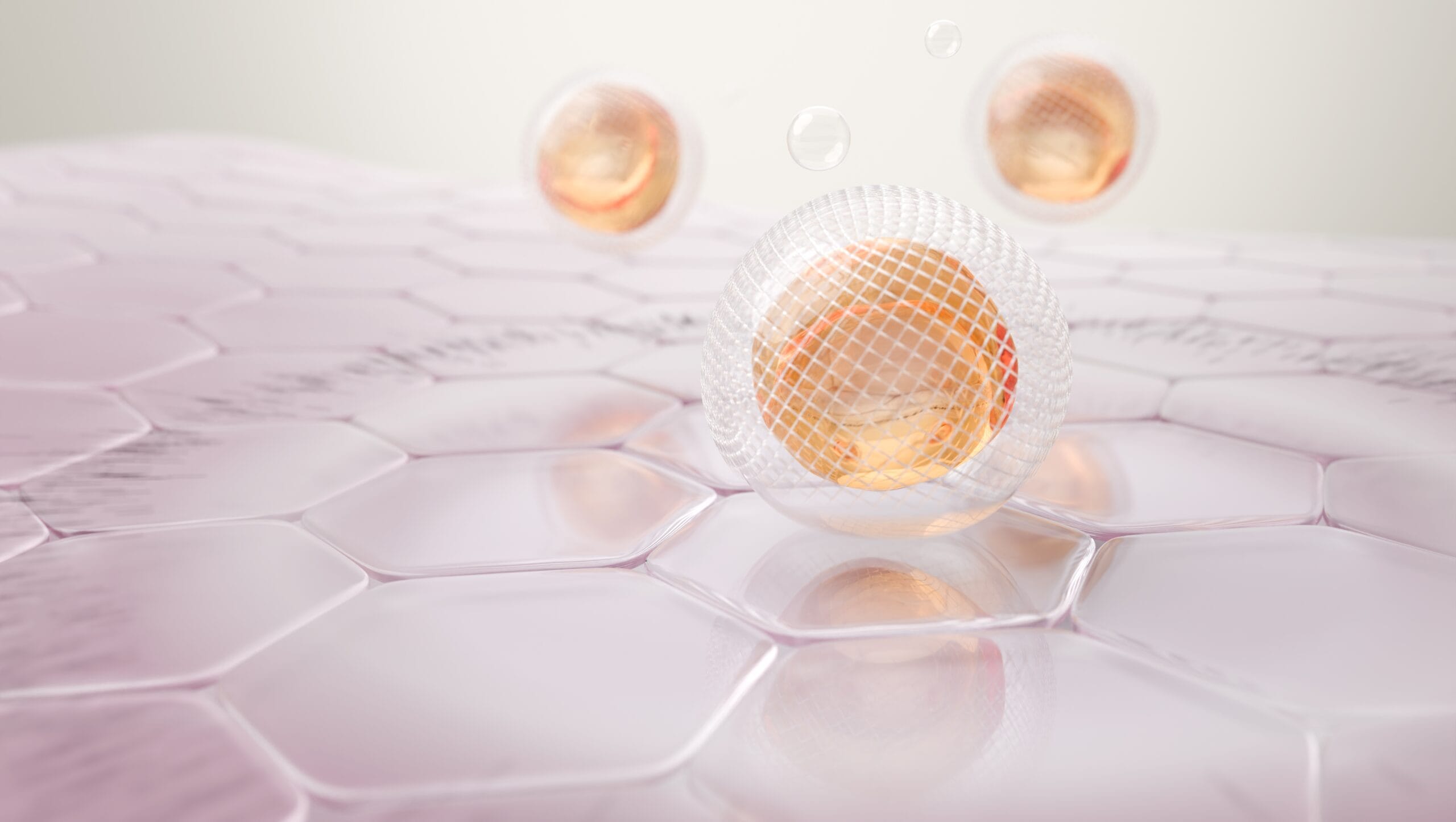 Hydrogel Encapsulated Salicylic Acid