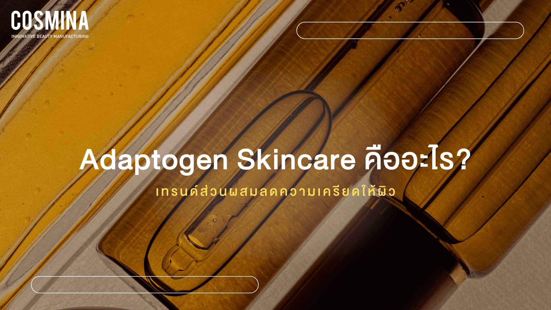 Adaptogen Skincare คืออะไร