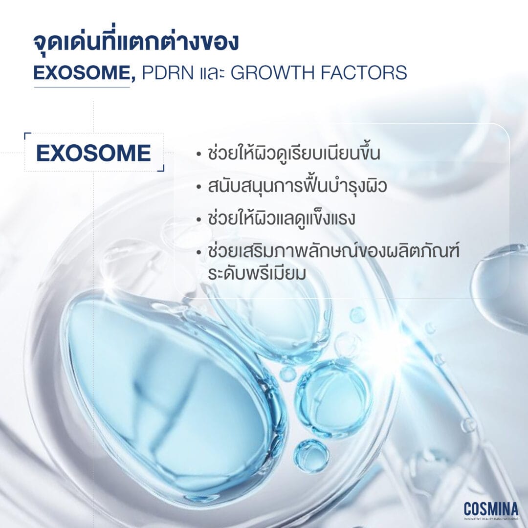 Exosome 