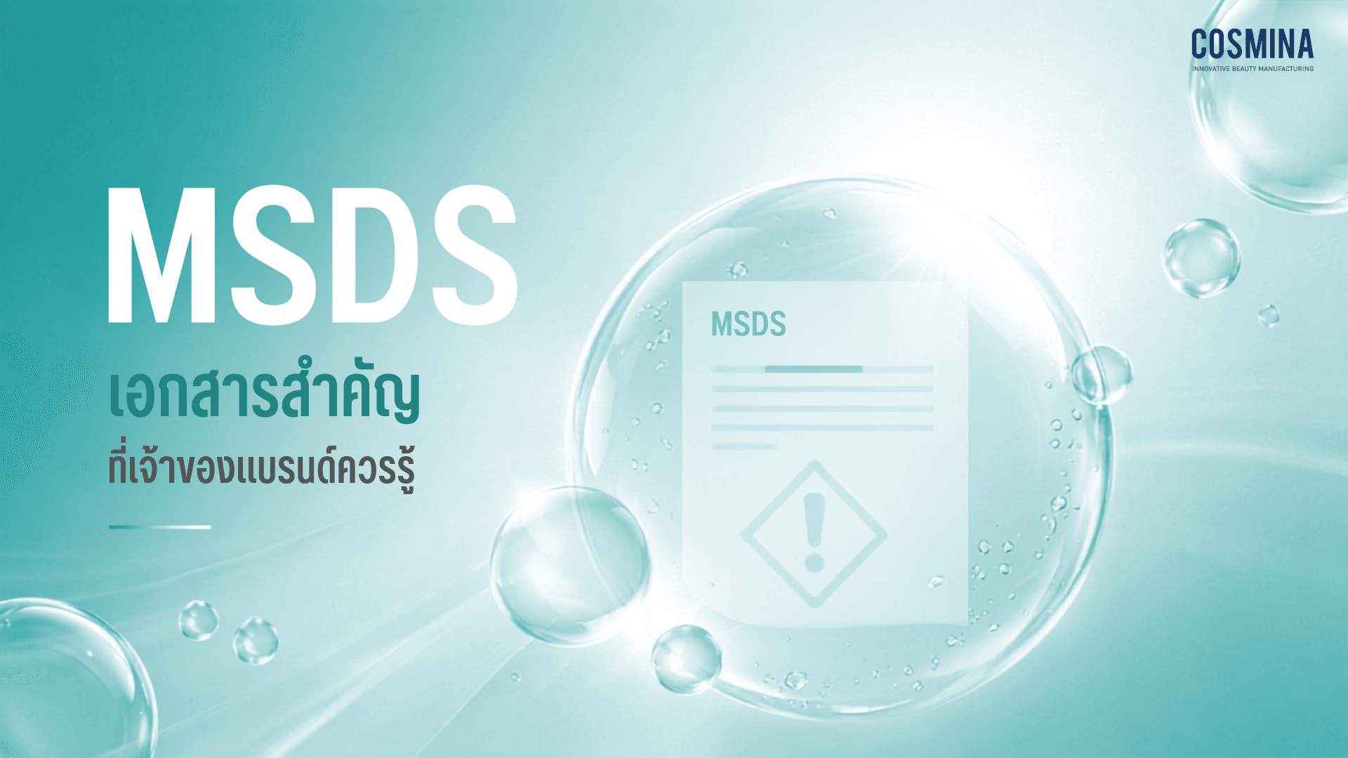 MSDS