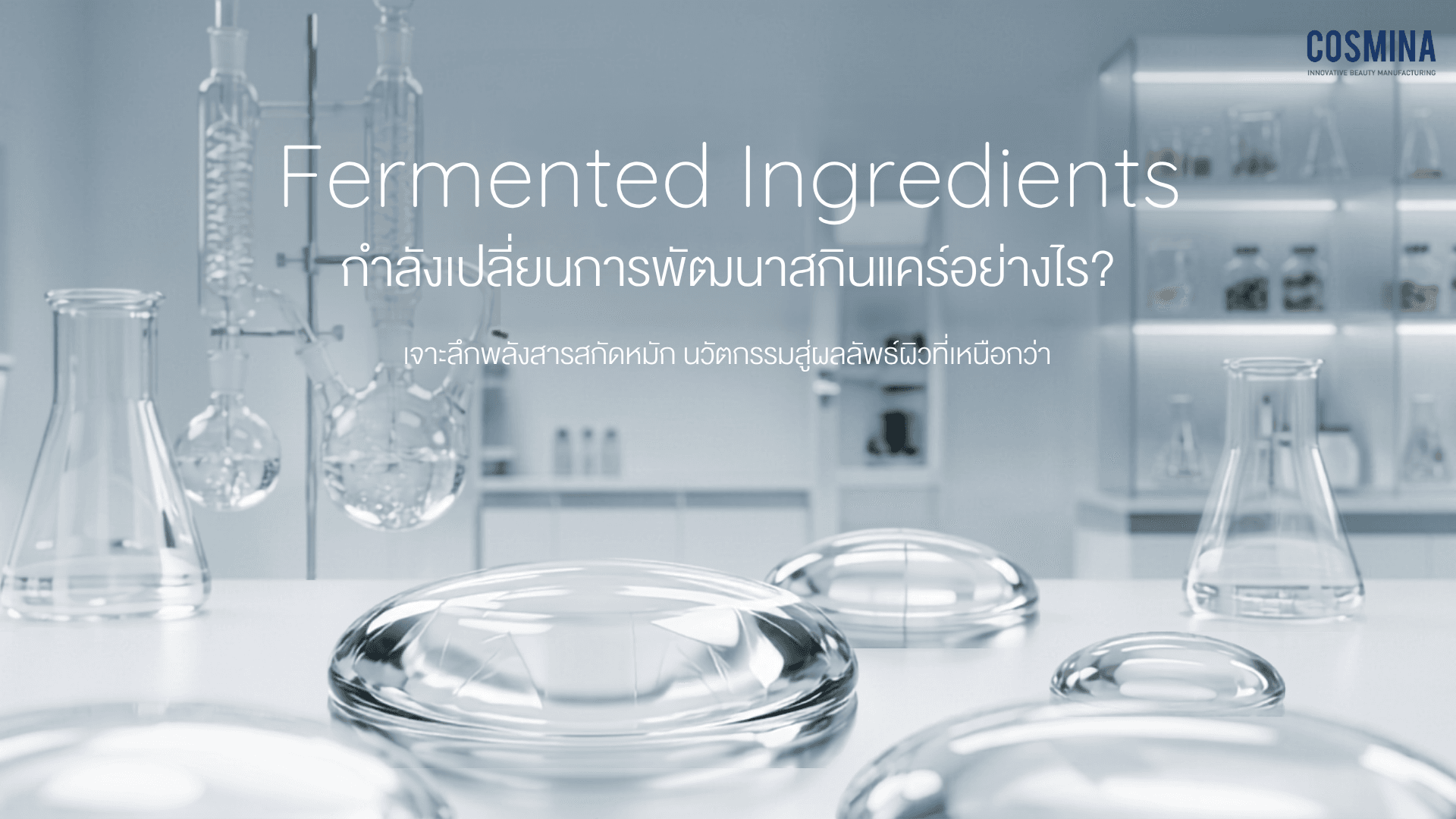Fermented Ingredients