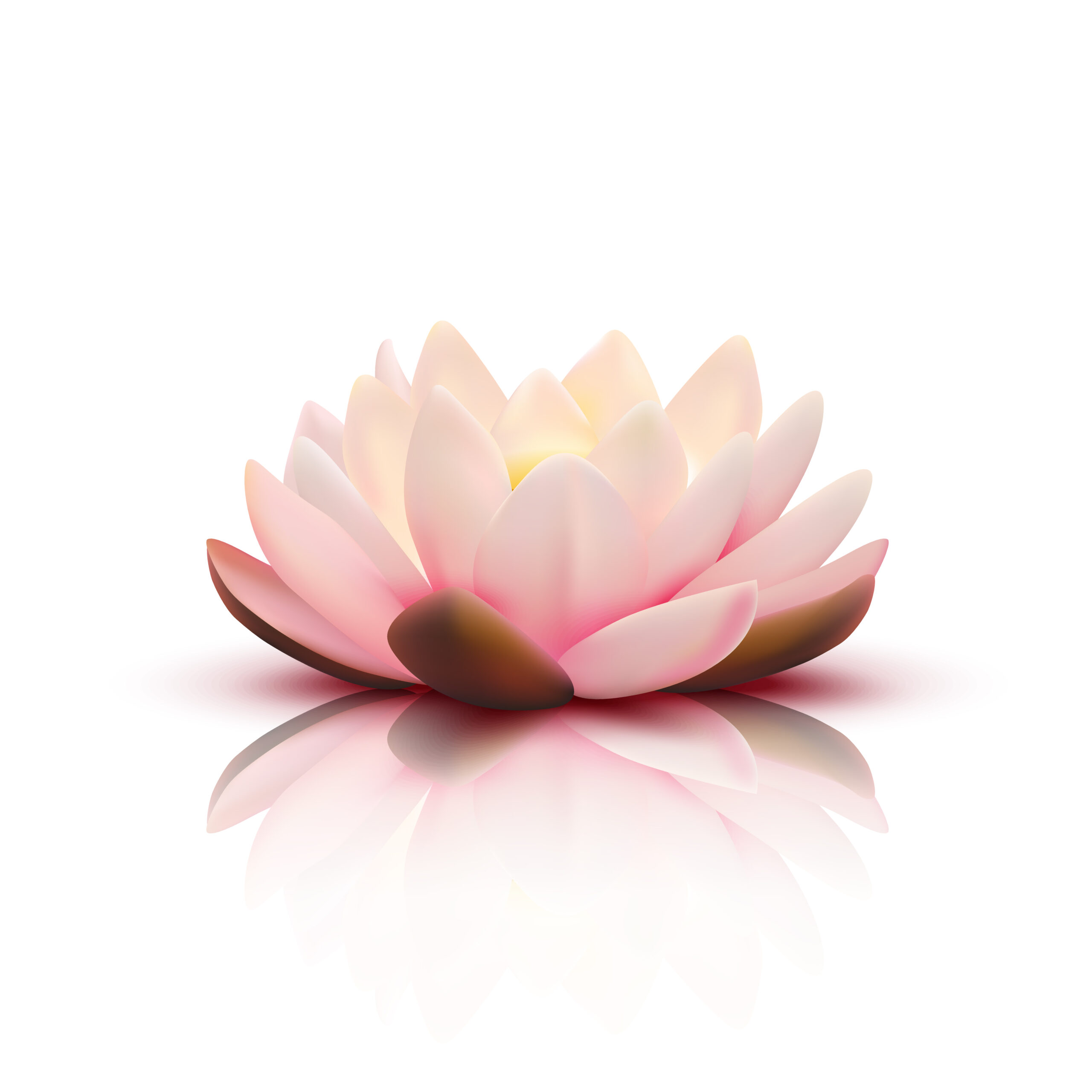 Bua Luang Liposome Extract