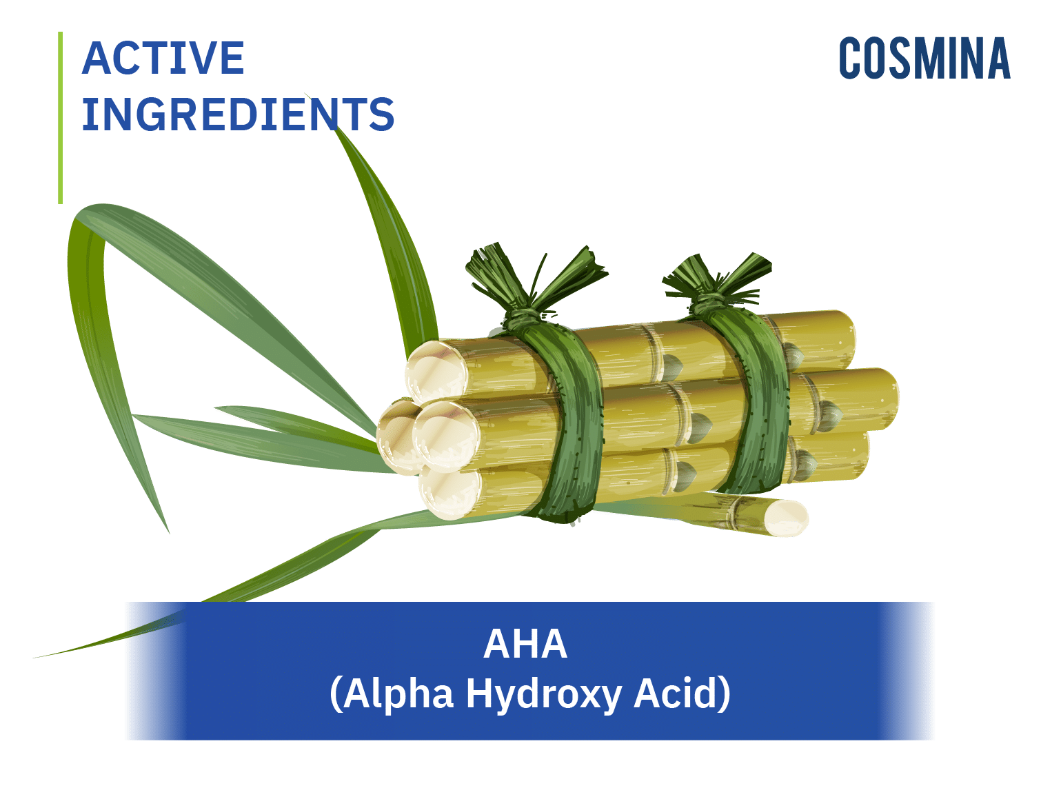 AHA Alpha Hydroxy Acid สารผลดเซลลผว COSMINA