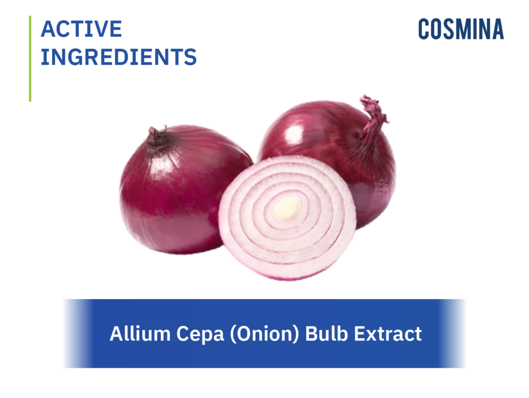 [:th]Allium Cepa (Onion) Bulb Extract[:en-us]Allium-Cepa-Onion-Bulb[:]
