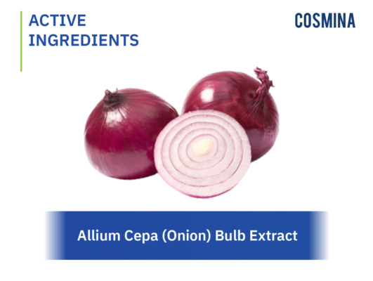 [:th]Allium Cepa (Onion) Bulb Extract[:en-us]Allium-Cepa-Onion-Bulb[:]