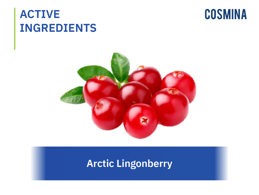Arctic Lingonberry