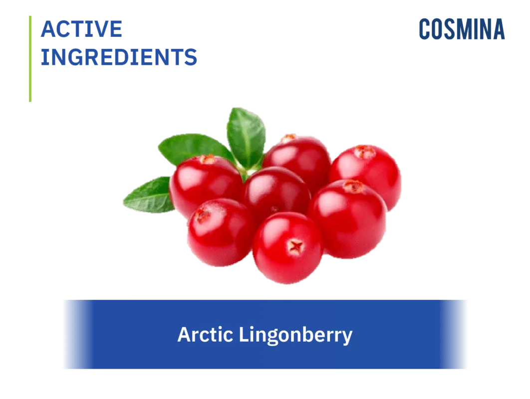 [:th]Arctic Lingonberry[:]
