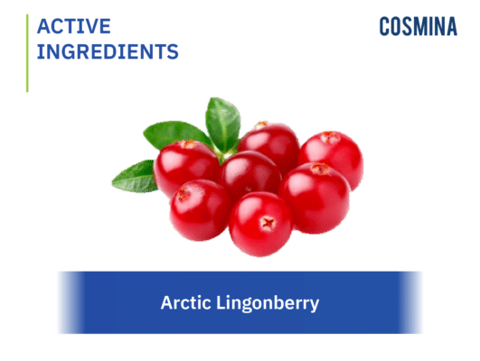 [:th]Arctic Lingonberry[:]