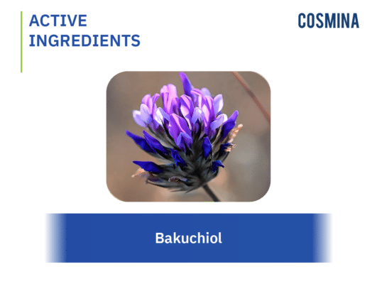 [:th]Bakuchiol[:]
