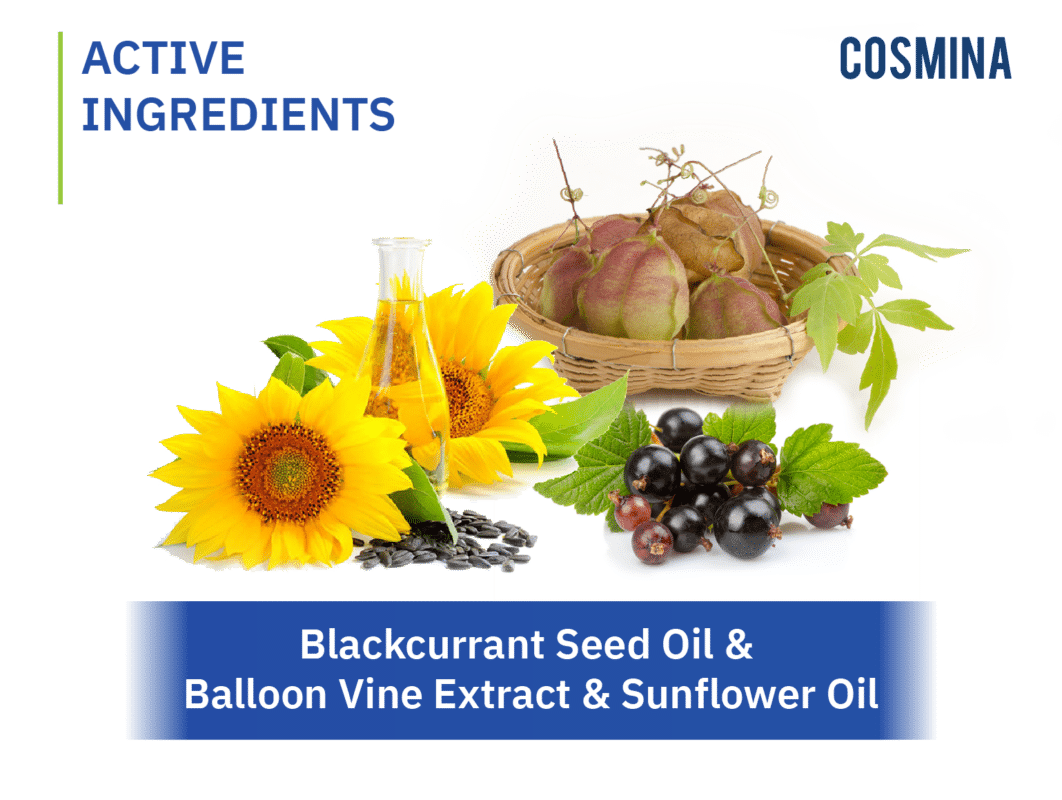 Blackcurrant Seed, Balloon Vine, Sunflower