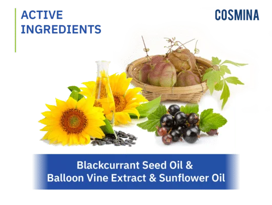 [:th]Blackcurrant Seed, Balloon Vine, Sunflower[:]