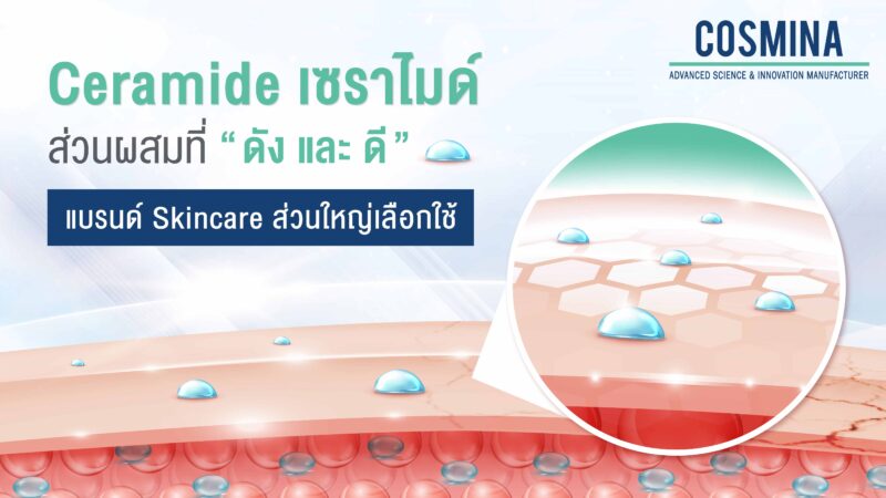 Cearamide (เซราไมด์) ส่วนผสมที่ ดัง และ ดี