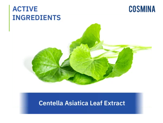 [:en-us]Centella Asiatica Leaf Extract[:]