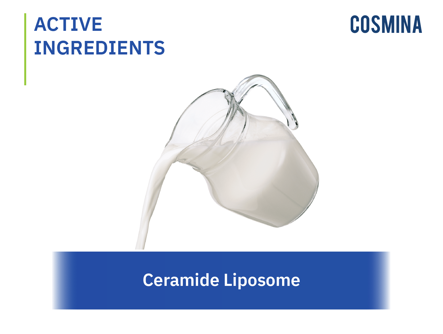 Ceramide Liposome