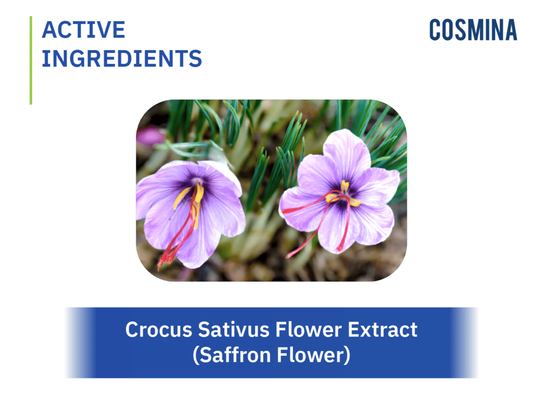 [:th]Crocus Sativus Flower Extract (Saffron Flower)[:]