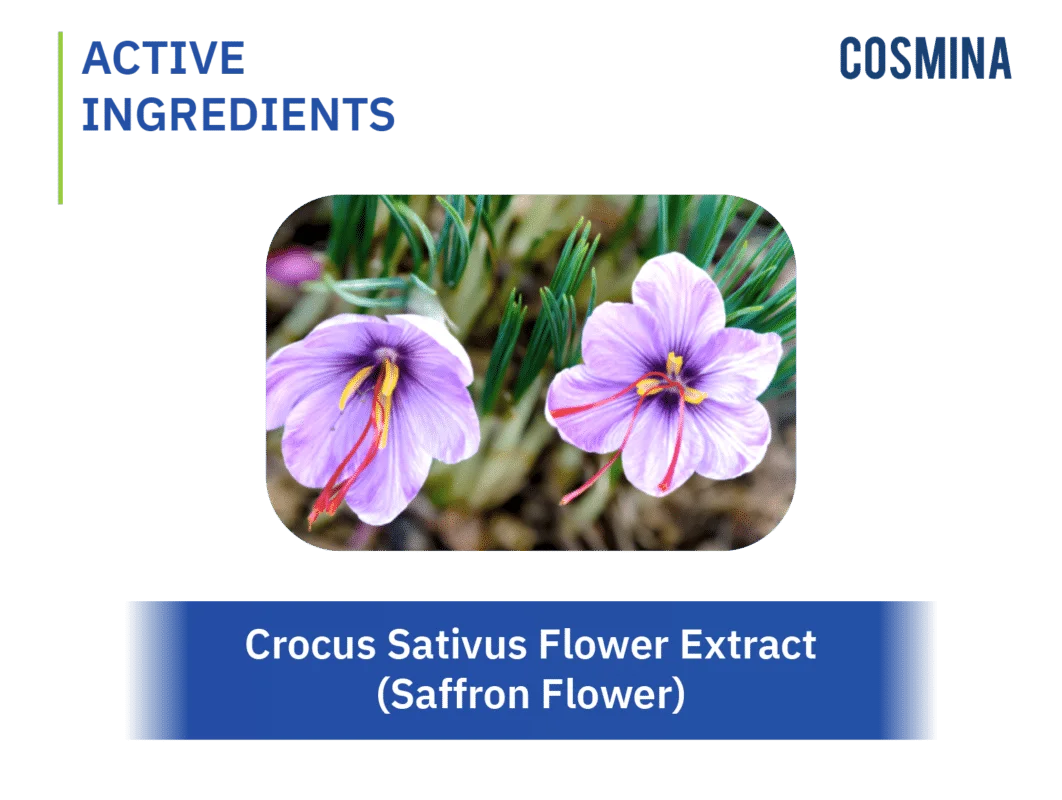 [:th]Crocus Sativus Flower Extract (Saffron Flower)[:]