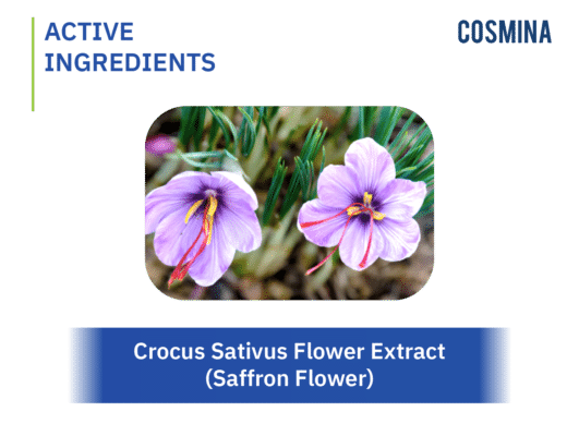 [:th]Crocus Sativus Flower Extract (Saffron Flower)[:]
