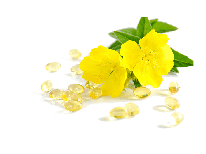 [:en-us]Evening Primrose Oil[:]