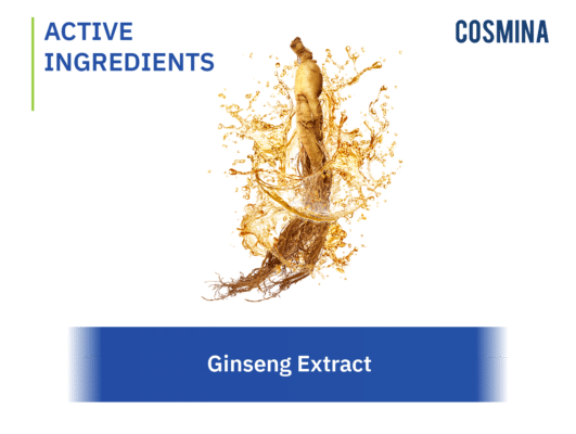 [:th]Ginseng Extract[:en-us]Ginseng Extract[:]