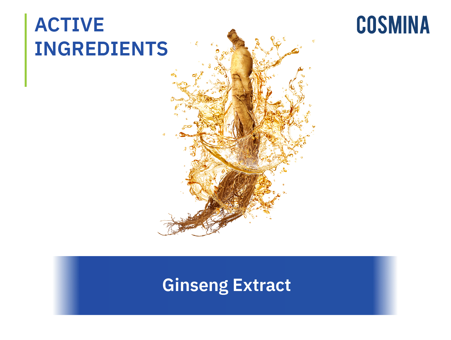 ginseng-extract-cosmina