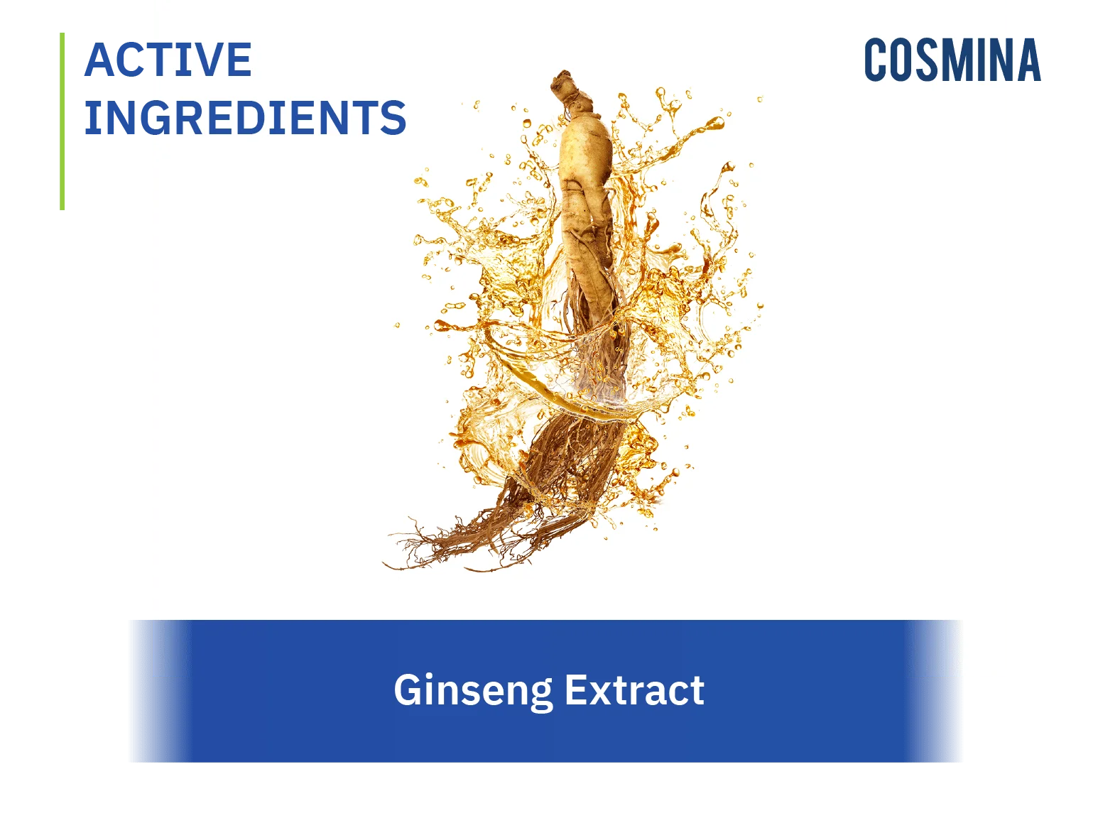 Ginseng Extract
