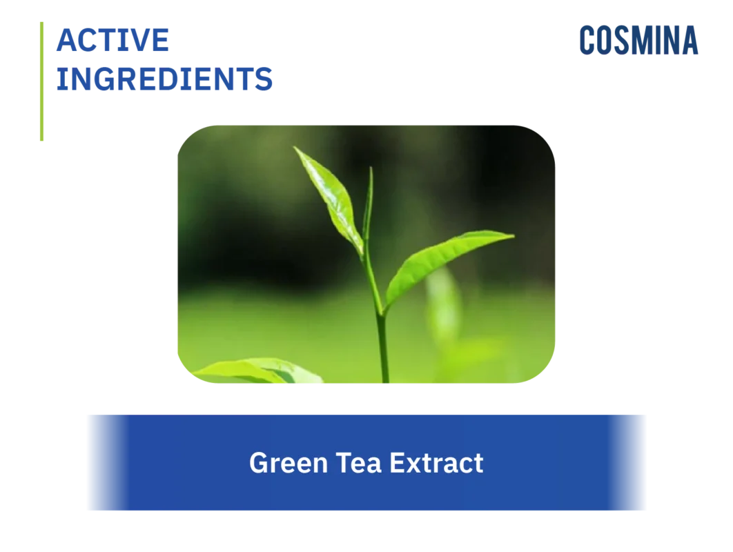 [:th]Green Tea Extract[:]