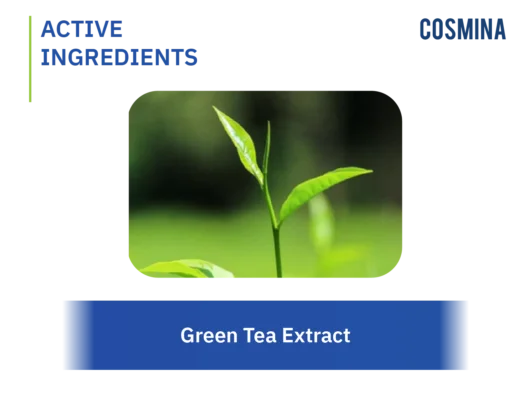 [:th]Green Tea Extract[:]