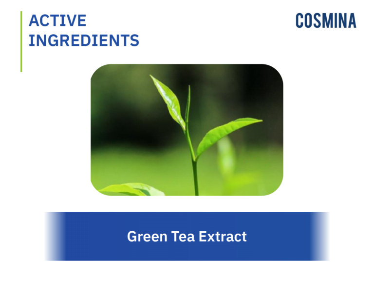 Green Tea Extract (สารสกัดชาเขียว) COSMINA
