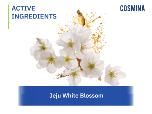 [:th]Jeju White Blossom[:]