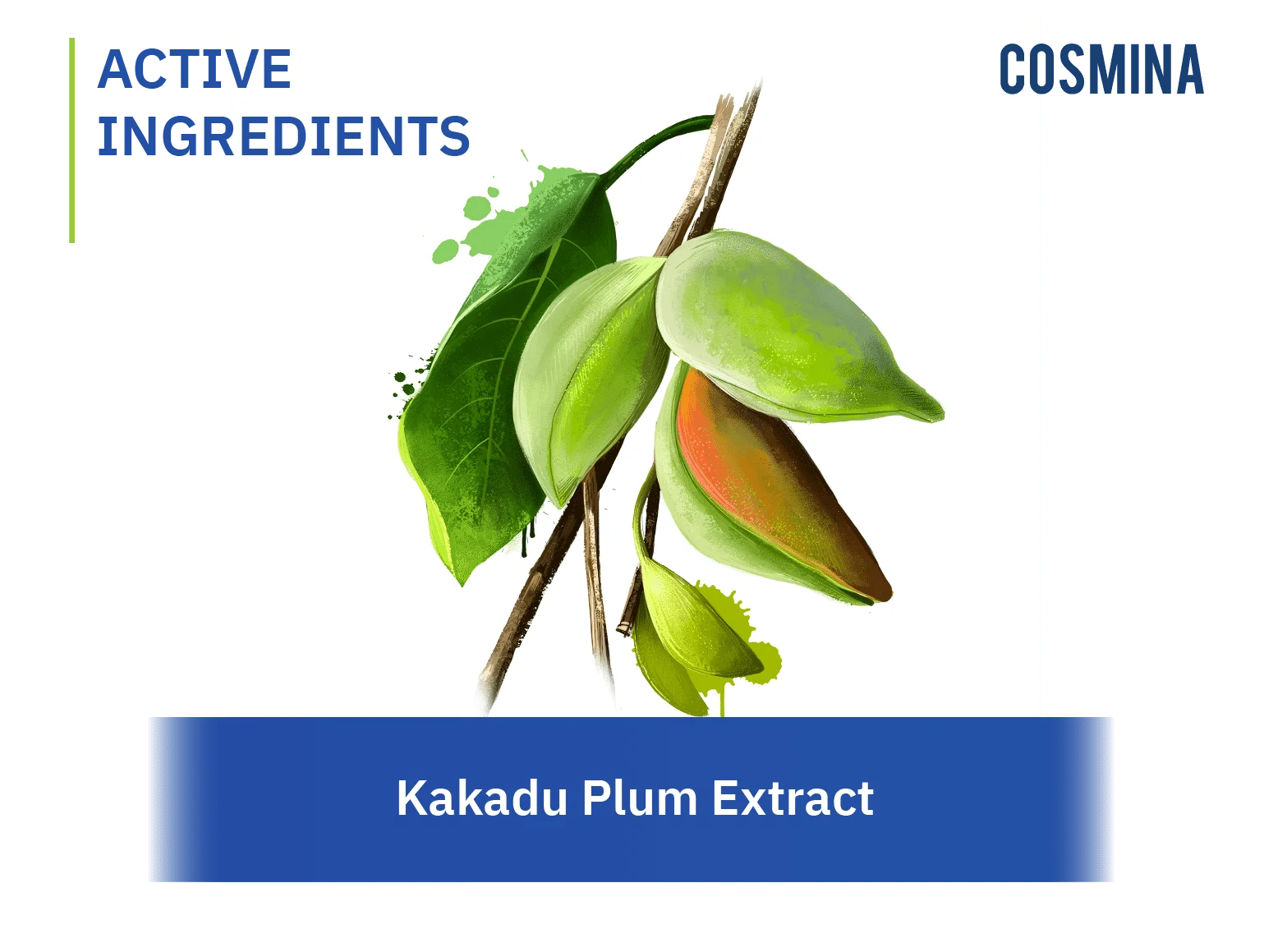Kakadu Plum Extract