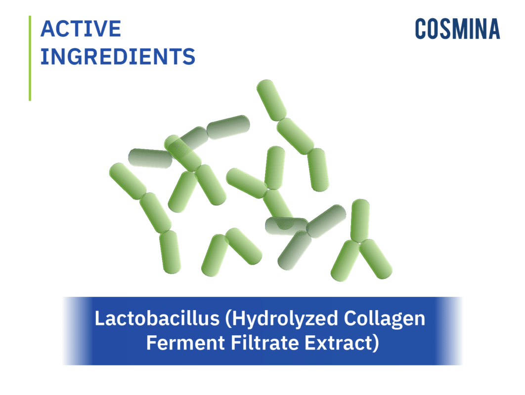 Lactobacillus (Hydrolyzed Collagen Ferment Filtrate Extract)