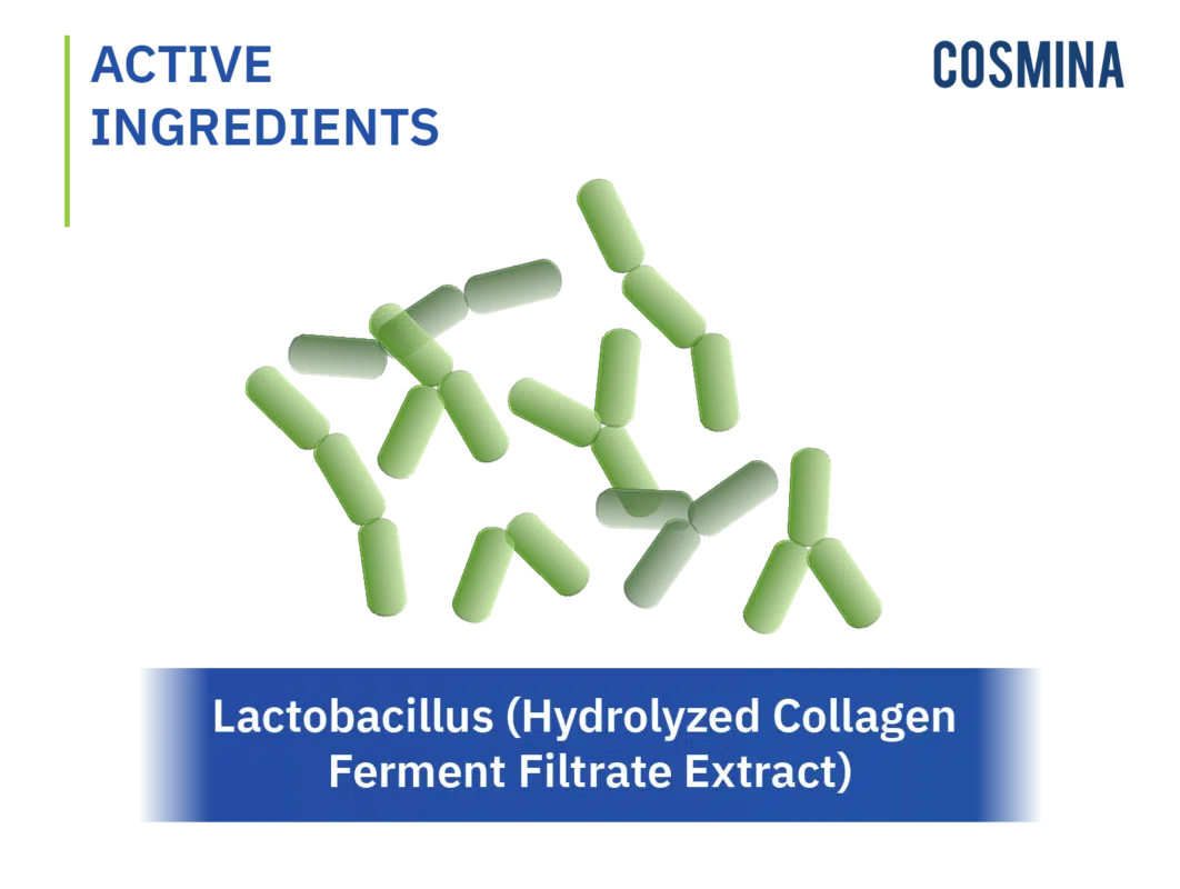 [:th]Lactobacillus (Hydrolyzed Collagen Ferment Filtrate Extract)[:]