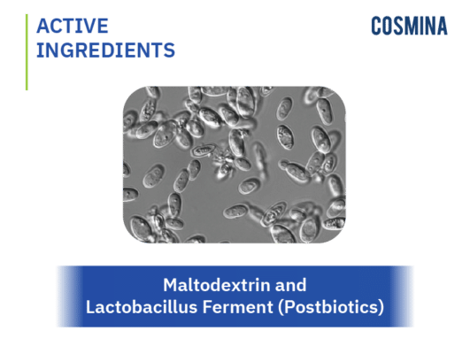 [:th]Maltodextrin Lactobacillus Ferment (POSTBIOTIC)[:]