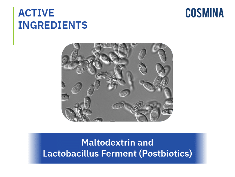[:th]Maltodextrin Lactobacillus Ferment (POSTBIOTIC)[:]
