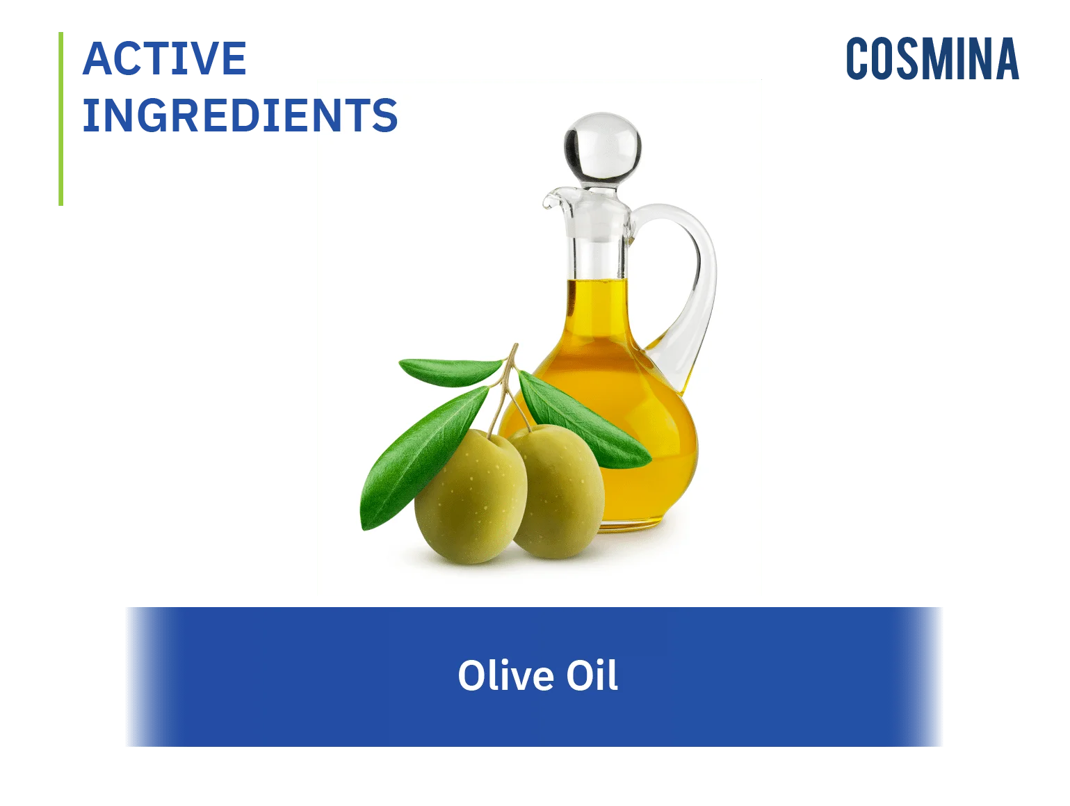 Olive Oil 