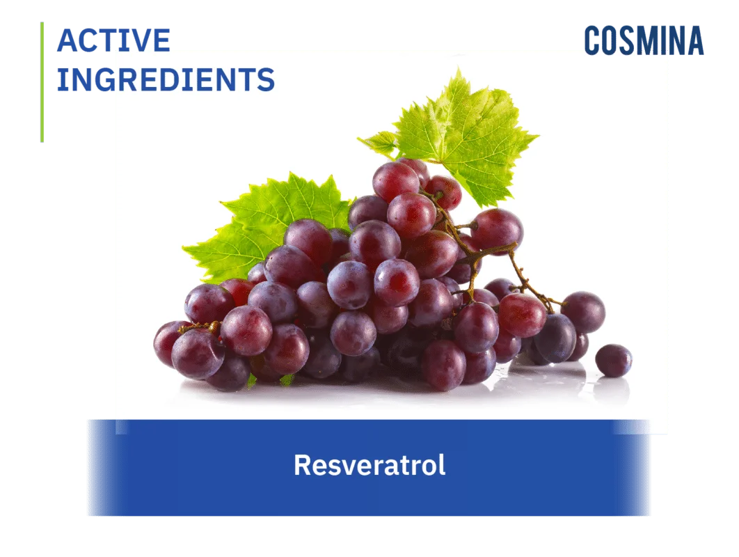 [:th]Resveratrol[:en-us]Resveratrol[:]