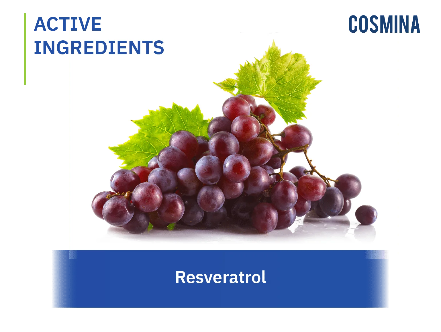 Resveratrol