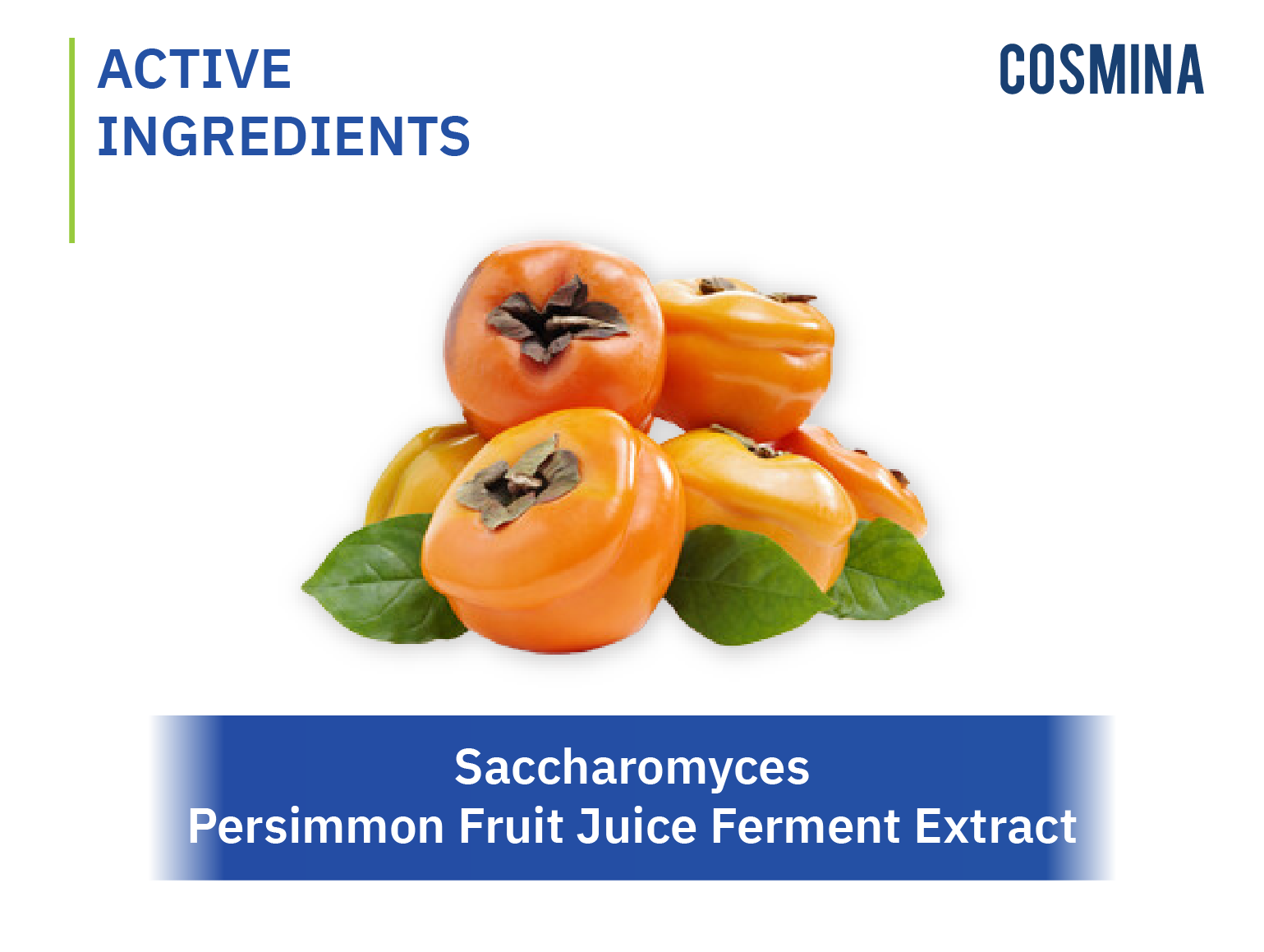 Saccharomyces / Persimmon Fruit Juice Ferment Extract COSMINA