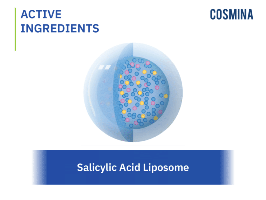 [:th]Salicylic Acid Liposome Encapsulation[:]