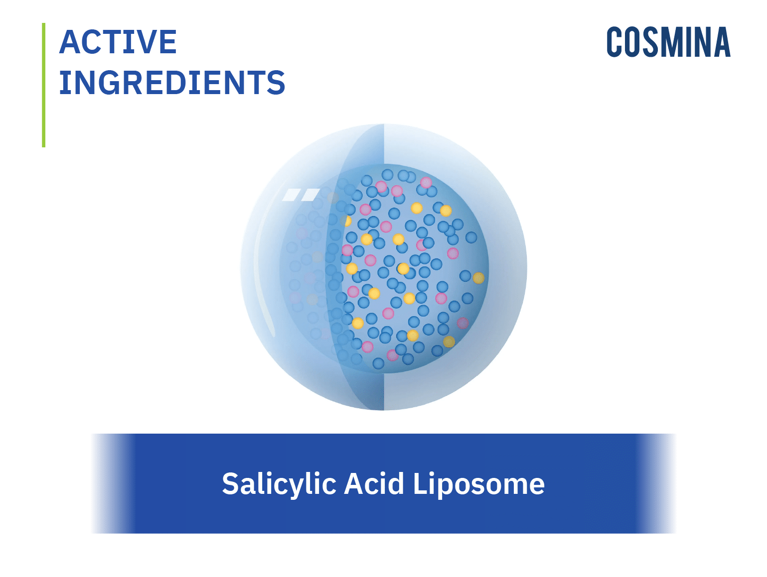 [:th]Salicylic Acid Liposome Encapsulation[:]