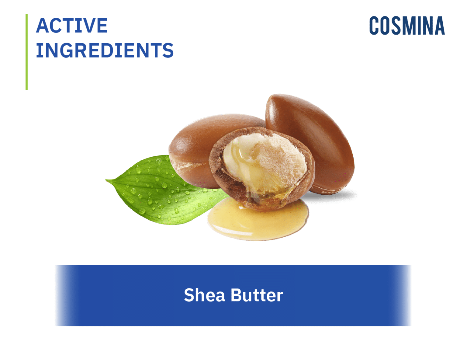 shea-butter-cosmina